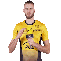 Interview Volleyball Sticker by PGE Skra Bełchatów