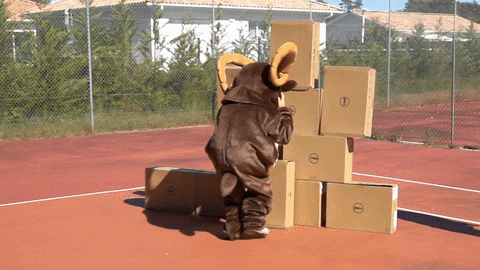 EfreiParis giphyupload paris rugby billy GIF