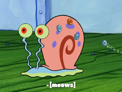 season 7 episode 13 GIF by SpongeBob SquarePants