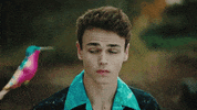 whydontwemusic why dont we 8 letters GIF