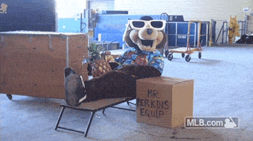 twins GIF by MLB