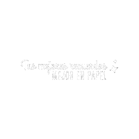 Wedding Photography Sticker by Baires Photobooth