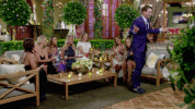 thebachelorau the bachelor au the bachelor australia GIF