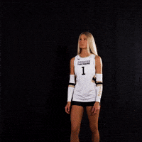 Volleyball Wvb GIF by Purdue Fort Wayne Athletics