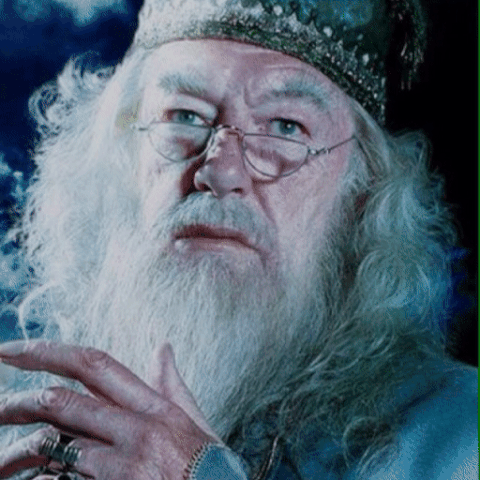 albus dumbledore GIF