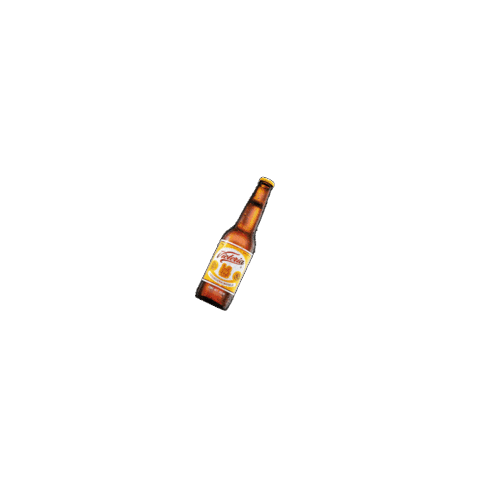 cerveza victoria party Sticker by VictoriaCerveza