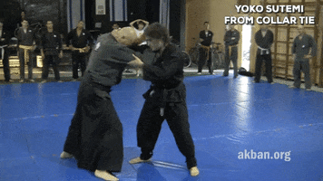 martial arts mma GIF by AKBAN Academy