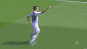 Tor Fcsp GIF by FC St. Pauli