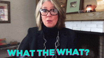 Are You Kidding Me Home Alone GIF by Linda Rey & Trevor