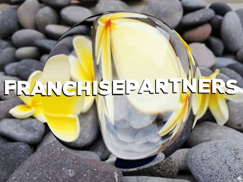 lexolino_de giphygifmaker fun joke facts GIF