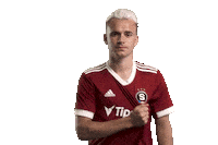 Logo Acsparta Sticker by AC Sparta Praha