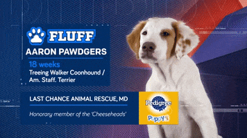 Animal Planet GIF by Puppy Bowl