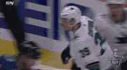 happy ice hockey GIF by NHL