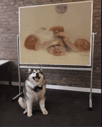 Milk Professor GIF by BagelNet