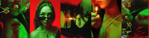 jennyjkwak giphyupload GIF