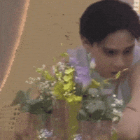 Pbb GIF