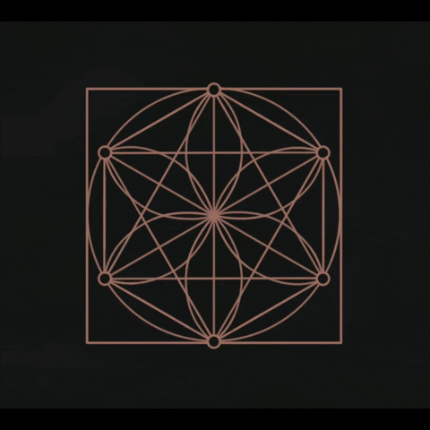 studeii giphyupload GIF