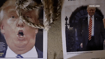 donald trump GIF by THE HUNT FOR THE TRUMP TAPES