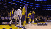 Happy Dance GIF by NBA