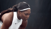 GIF by David