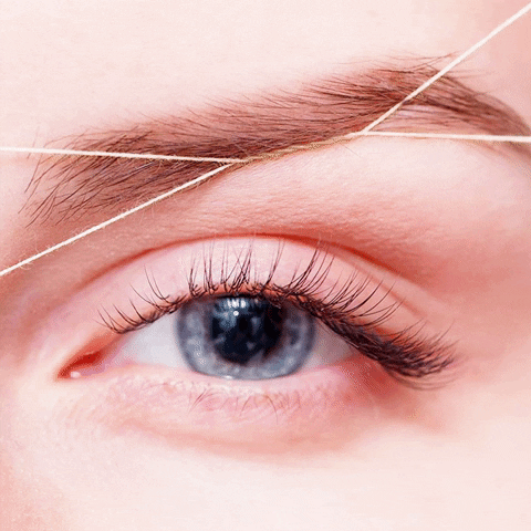 bonjourmadamebcn giphygifmaker GIF