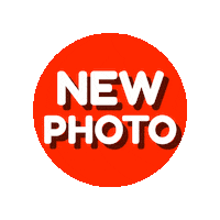 Instagram Tag Sticker