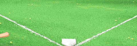 Chipper Jones Backyardbaseball GIF by BACKYARD SPORTS