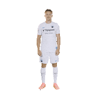 Fcsl Sticker by FC Slovan Liberec
