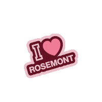 liceodemtyrosemont liceo gazelle rosemont liceorosemont Sticker