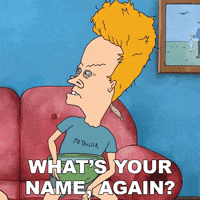 Beavis And Butthead Comedy GIF by Paramount+