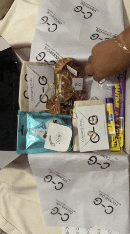 Fashion Bags GIF
