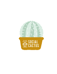 socialcactuscoaching cactus launch prosecco cacti Sticker