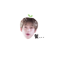 Enhypen Sticker
