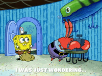 season 5 episode 20 GIF by SpongeBob SquarePants