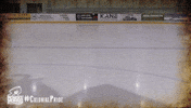 happy ice hockey GIF by Robert Morris University Athletics
