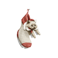 paperview_papelaria cat xmas natal merry christimas Sticker