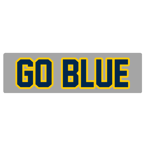 Go Blue College Football Sticker by SportsManias