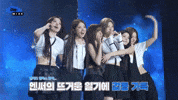 Taiwan Bae GIF