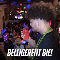 BelligerentBermuda party bermuda belligerent belligerent bermuda GIF