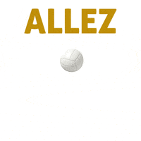 AAManseau sport lets go high school cole GIF