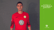 koen casteels yes GIF by VfL Wolfsburg