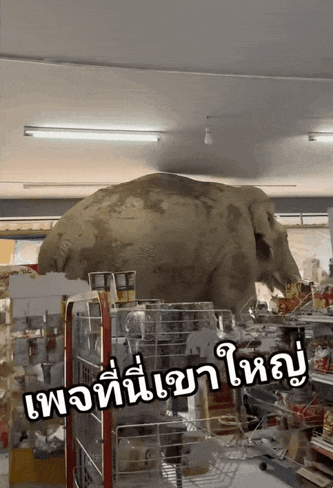 uuusssuuu giphyupload GIF