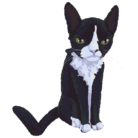 meirha giphyupload cat blink kat Sticker