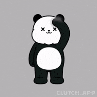 Good Morning Hello GIF by Kanpai Pandas