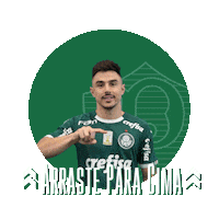 soccer swipe up Sticker by SE Palmeiras