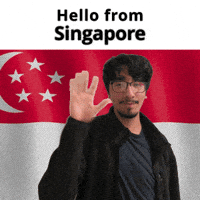 Singapore Sg GIF