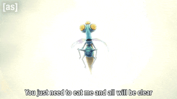 Eat Me Bug GIF by Adult Swim