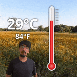 29 °C