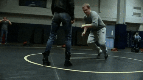 Greysentinel giphygifmaker GIF
