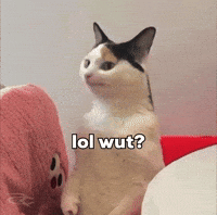 Miao Miao Lol GIF by Respective